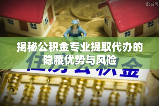 清镇揭秘公积金专业提取代办的隐藏优势与风险