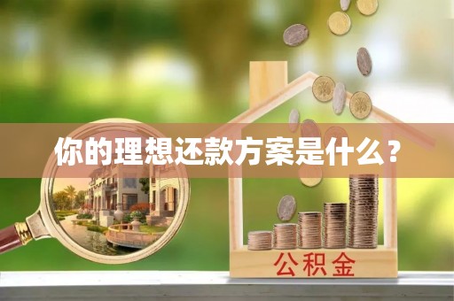 清镇你的理想还款方案是什么？