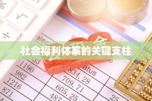 清镇社会福利体系的关键支柱