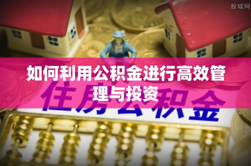 清镇如何利用公积金进行高效管理与投资