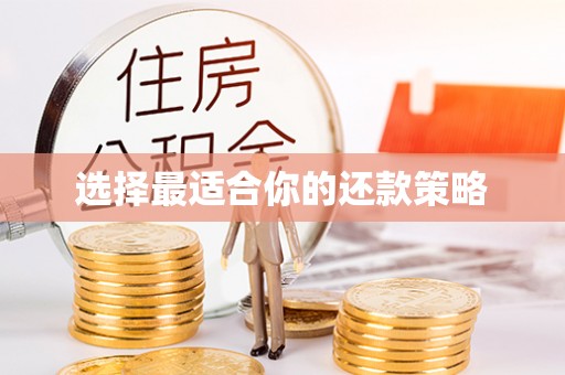 清镇选择最适合你的还款策略